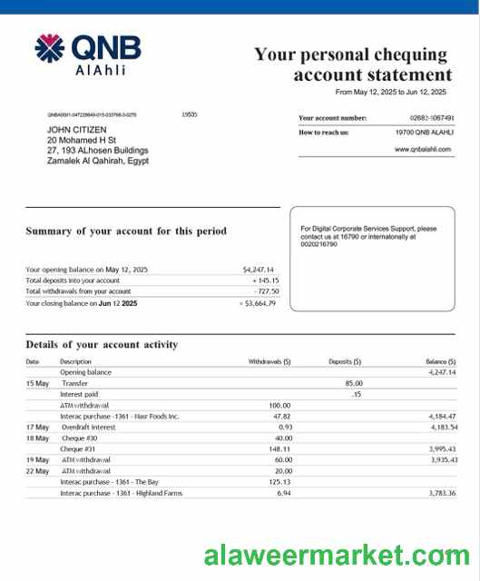 Qatar QNB Alahli Bank account statement Word and PDF template